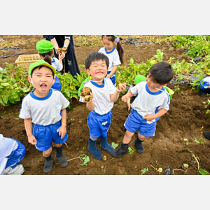 じゃがいも掘り