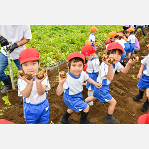 じゃがいも掘り