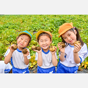 じゃがいも掘り