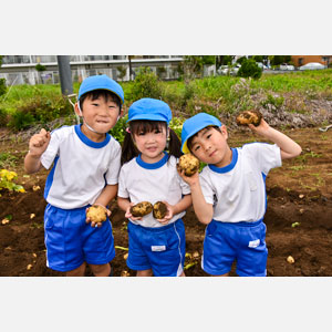 じゃがいも掘り