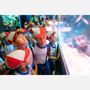 秋の遠足（年長）