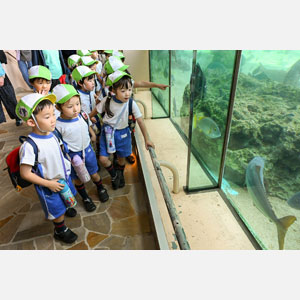 秋の遠足（年長）