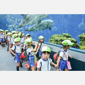 秋の遠足（年長）