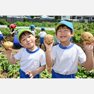じゃがいも掘り