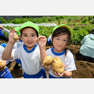 じゃがいも掘り